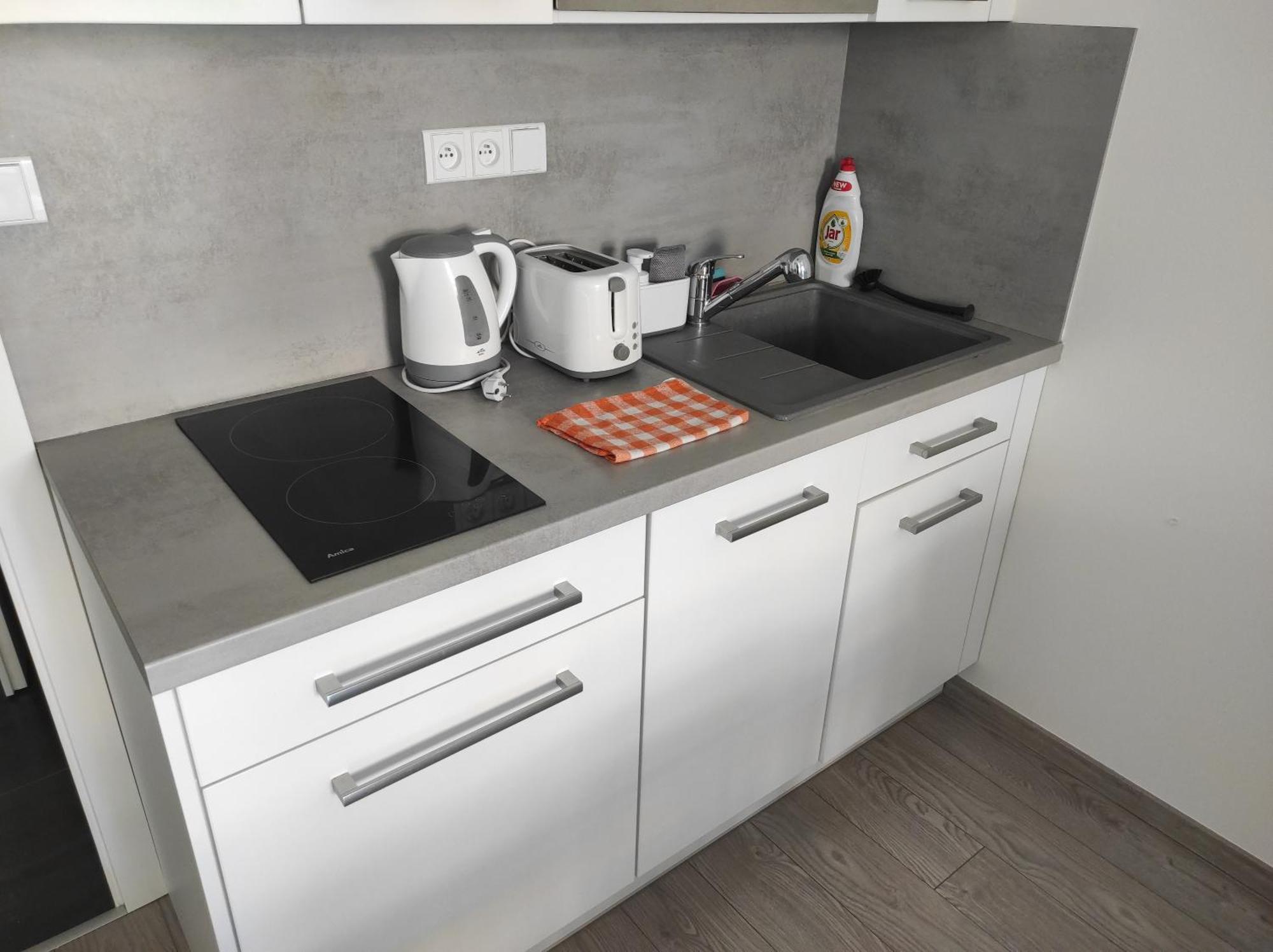 Apartman Dagmar 米库洛夫 外观 照片